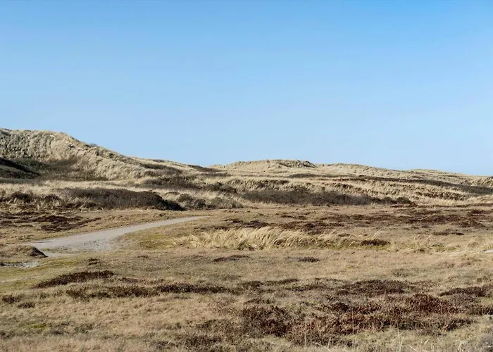 Prázdninový dům 6643-hvide-sande-arvidvej-338 Bjerregård